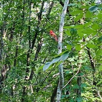 Cullinan Park - Parks Near Me - Sugar Land, Texas