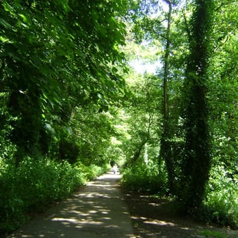 Bushy Park - Bushy Park - Parks Near Me - Dublin, D