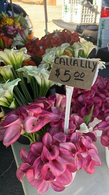 Joshua Tree Certified Farmers' Market by null