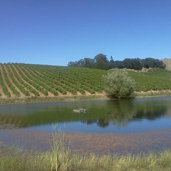 Truchard Vineyards - Wineries Near Me - Napa, California Truchard Vineyards - Wineries Near Me - Napa, California