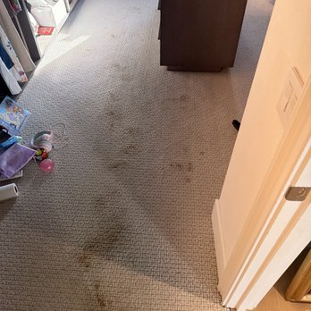 Valley Carpet Cleaning - After I attempted cleaning myself and I really tried! - Carpet Cleaning Near Me - Chatsworth, California Valley Carpet Cleaning - After I attempted cleaning myself and I really tried! - Carpet Cleaning Near Me - Chatsworth, California