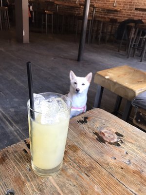 Bob's Your Uncle by null