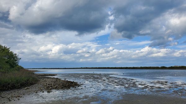 Anastasia State Park by null