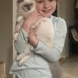 Kid friendly feline Kid friendly feline