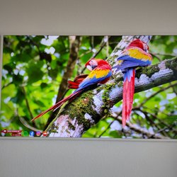 ACA Electronics - Samsung Frame Installation