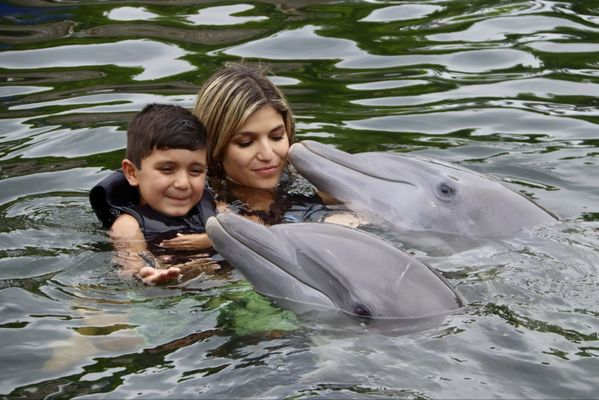 Dolphins Plus Marine Mammal Responder by null