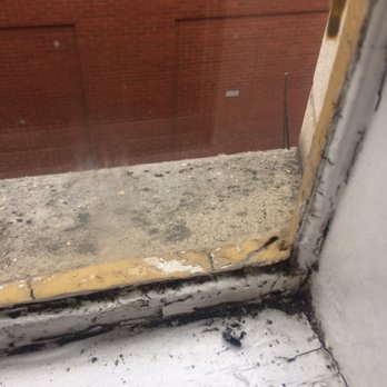 Britannia Sachas Hotel - Window sill - Hotels Near Me - Manchester, XGM Britannia Sachas Hotel - Window sill - Hotels Near Me - Manchester, XGM