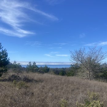 San Simeon State Park & Campground - View of the ocean on the high point of the hiking trail. - Parks Near Me - Cambria, California San Simeon State Park & Campground - View of the ocean on the high point of the hiking trail. - Parks Near Me - Cambria, California