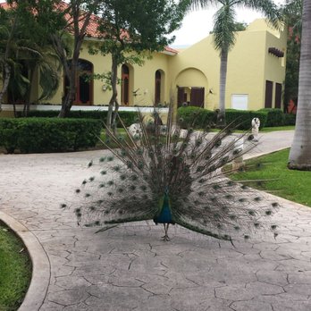 Sunny Dreams Travel - Travel Services Near Me Sunny Dreams Travel - Travel Services Near Me