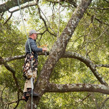 Stick Man Tree Service - Tree Services Near Me - Crestview, Florida Stick Man Tree Service - Tree Services Near Me - Crestview, Florida