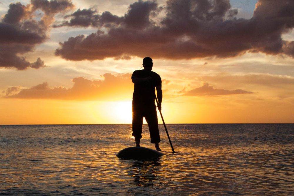 BODHI PADDLEBOARDS Saint Petersburg, FL Yelp