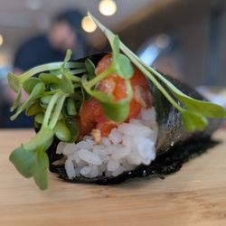 Hando - Spring Branch - Ocean trout