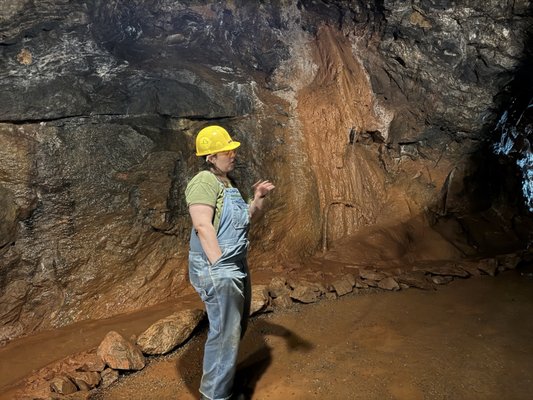 Consolidated Gold Mine by null