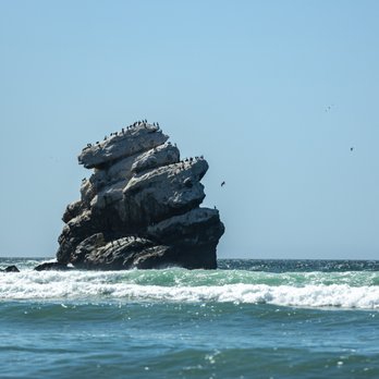 Morro Bay State Park - Morro Rock State Beach - Parks Near Me - Morro Bay, California Morro Bay State Park - Morro Rock State Beach - Parks Near Me - Morro Bay, California