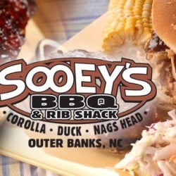 Sooeys BBQ Duck