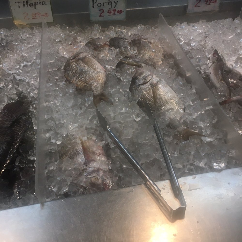 Fish Market - Large porgy $2.49/lb - Seafood Markets Near Me - Brooklyn, New York Fish Market - Large porgy $2.49/lb - Seafood Markets Near Me - Brooklyn, New York
