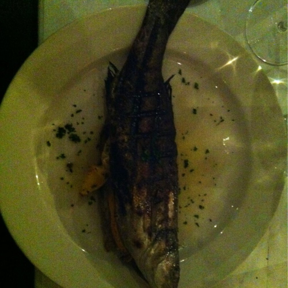 Bari Ristorante - Fish special - Italian Near Me - Memphis, Tennessee