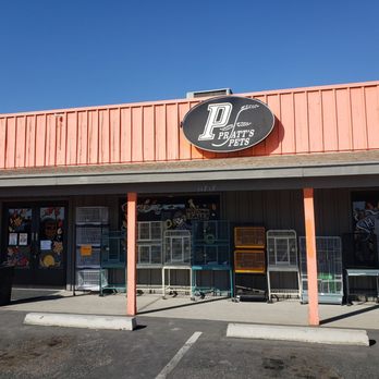 Pratt's Pets - El Mirage - Pet Stores Near Me - El Mirage, Arizona Pratt's Pets - El Mirage - Pet Stores Near Me - El Mirage, Arizona