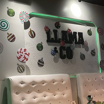 Forbidden Llama - Decor - Breakfast & Brunch Near Me - Middletown, Connecticut