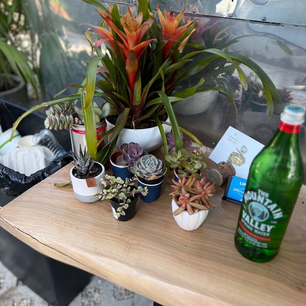 Rustic Coffee - Coffee & Tea Near Me - Santa Monica, California Rustic Coffee - Coffee & Tea Near Me - Santa Monica, California