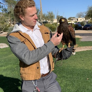 Desert Kings Falconry - Wildlife Control Near Me
