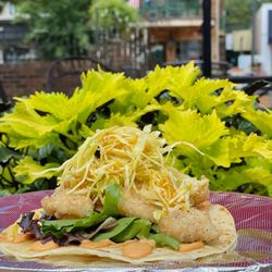 Dragonfly Foodbar - Crispy AmberJack Taco