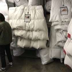 Warm Things - Beautiful warehouse and the best well kept secret in the north bay!
