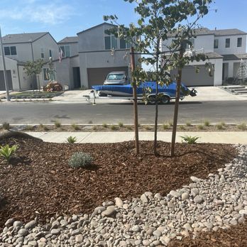 Red Rhino - Front yard - Landscaping Near Me - Fallbrook, California