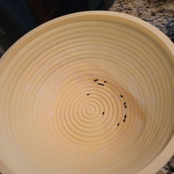 Bear Camp Cabin Rentals - Banatan bowl from home- we needed to throw it out because of the mouse droppings and urine - Vacation Rentals Near Me - Pigeon Forge, Tennessee Bear Camp Cabin Rentals - Banatan bowl from home- we needed to throw it out because of the mouse droppings and urine - Vacation Rentals Near Me - Pigeon Forge, Tennessee