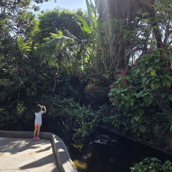 Sunken Gardens - Nurseries & Gardening Near Me - Saint Petersburg, Florida Sunken Gardens - Nurseries & Gardening Near Me - Saint Petersburg, Florida