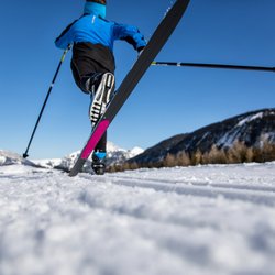 Stussi Sport