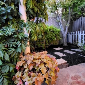 Epic Garden and Landscape - a potted plant - Gardeners Near Me Epic Garden and Landscape - a potted plant - Gardeners Near Me