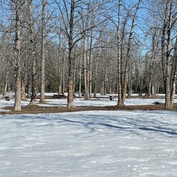 Davis Park