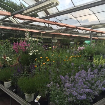 Schley's Blumenparadies - Flowers & Gifts Near Me - Ratingen, NW