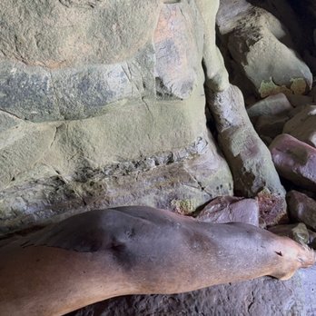 Cave Store - Walking Tours Near Me - La Jolla, California