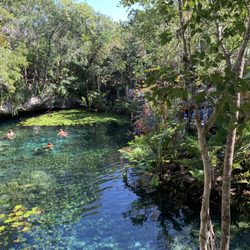 Cenote Nicte Ha - Beautiful Cenote!!!