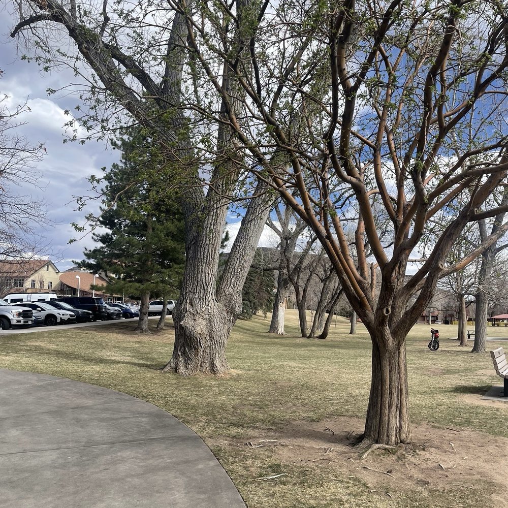 Lions Park - Playgrounds Near Me - Golden, Colorado Lions Park - Playgrounds Near Me - Golden, Colorado