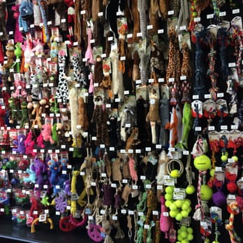 Hollywood Feed - Every doggies dream! - Pet Groomers Near Me - Dallas, Texas Hollywood Feed - Every doggies dream! - Pet Groomers Near Me - Dallas, Texas