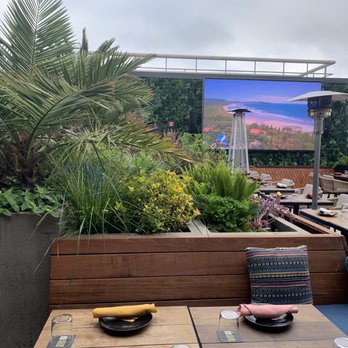 Kaiyo Rooftop - Peruvian Near Me - San Francisco, California Kaiyo Rooftop - Peruvian Near Me - San Francisco, California