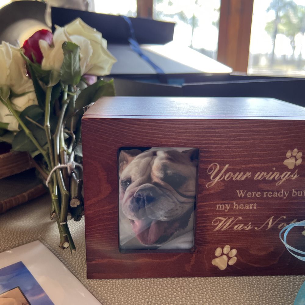 Small Paws Cremations - Pet Cremation Services Near Me - Los Angeles, California Small Paws Cremations - Pet Cremation Services Near Me - Los Angeles, California