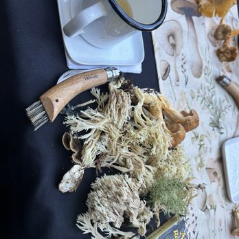 Forage Seattle - Mushrooms - Food Tours Near Me
