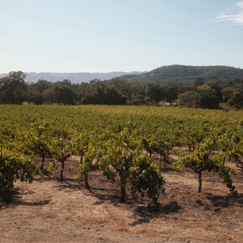 Bartholomew Estate Winery - Beautiful vineyard view from the villa - Wineries Near Me - Sonoma, California Bartholomew Estate Winery - Beautiful vineyard view from the villa - Wineries Near Me - Sonoma, California