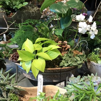 Terrain - Nurseries & Gardening Near Me - Bethesda, Maryland Terrain - Nurseries & Gardening Near Me - Bethesda, Maryland