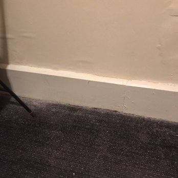 Freehand Chicago - Hotels Near Me - Chicago, Illinois