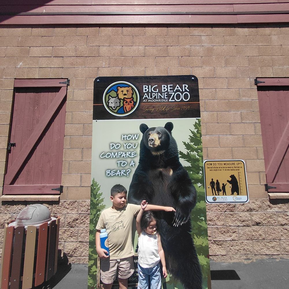 Big Bear Alpine Zoo - Zoos Near Me - Big Bear Lake, California Big Bear Alpine Zoo - Zoos Near Me - Big Bear Lake, California