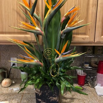 Albuquerque Florist - Birds of paradise flower arrangements - Florists Near Me - Albuquerque, New Mexico Albuquerque Florist - Birds of paradise flower arrangements - Florists Near Me - Albuquerque, New Mexico