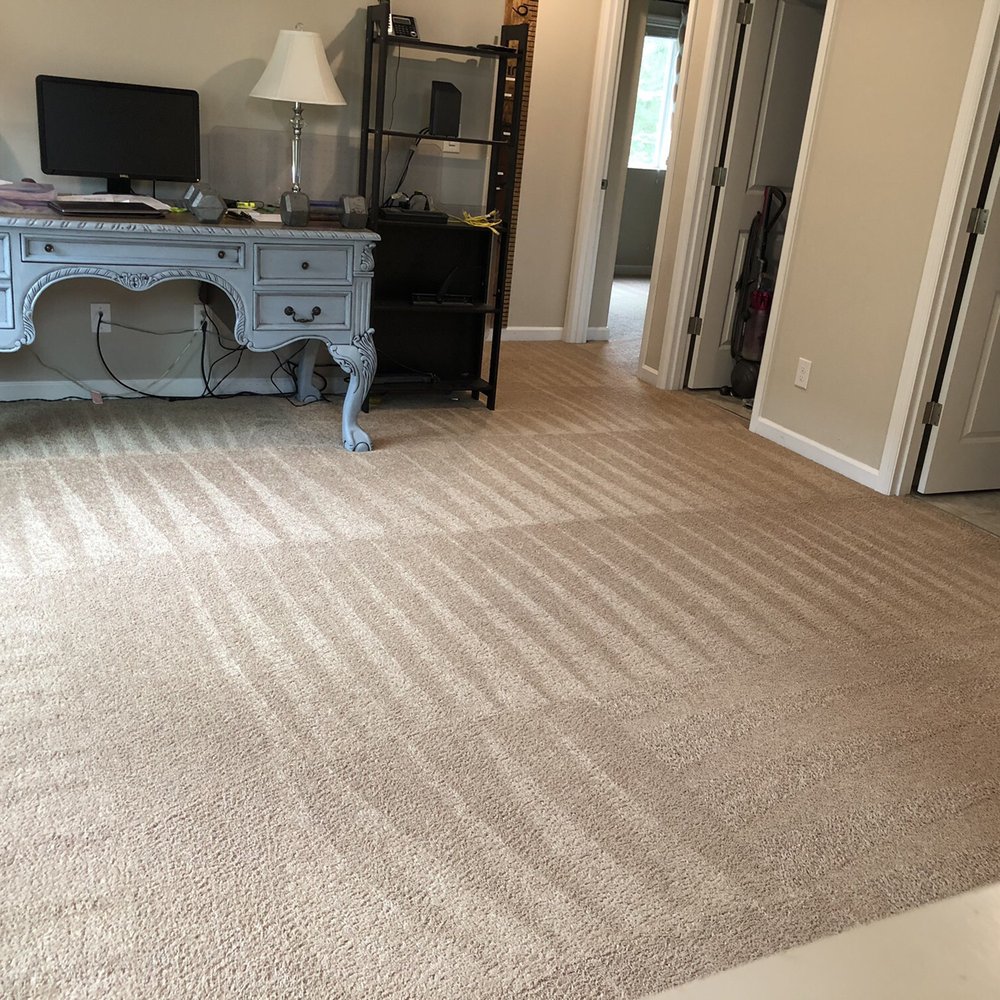 Grossbusters Carpet Cleaning - Carpet Cleaning Near Me - Olympia, Washington
