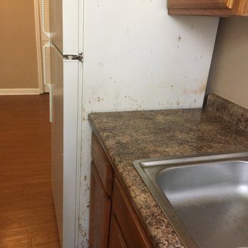 Benchmark Real Estate Services - Property Management Near Me - Tallahassee, Florida Benchmark Real Estate Services - Property Management Near Me - Tallahassee, Florida