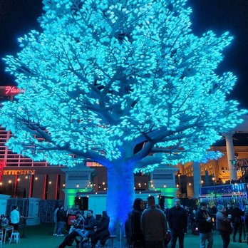 Absinthe - Lit tree outside the tent - Performing Arts Near Me - Las Vegas, Nevada