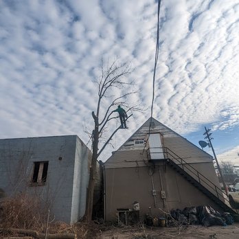 A 1 Tree Pros - Tree Services Near Me